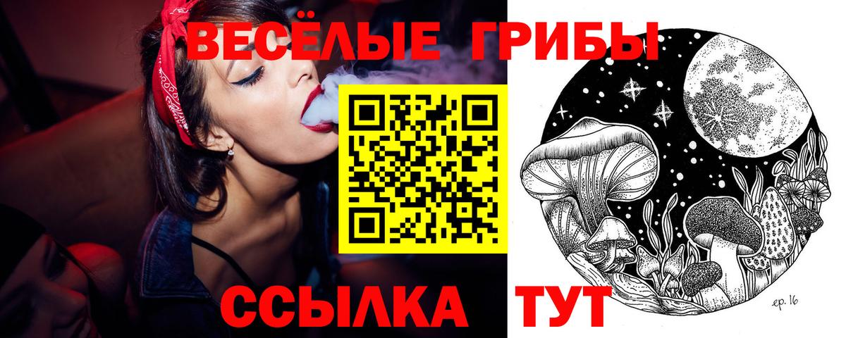 Псилоцибиновые грибы Magic Shrooms  Псилоцибиновые грибы Psilocybe  Петропавловск-Камчатский  Вход с VPN 